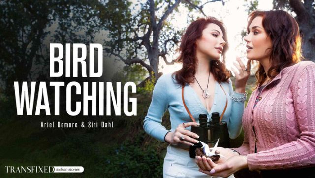 Mengintip Burung Trans Yang Menggoda