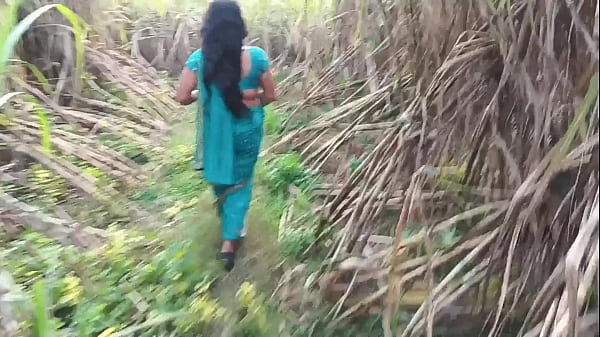 Janda Manis Di Kebun Tebu, Diajak Ngewe Di Luar, Makin Keras Makin Nikmat.